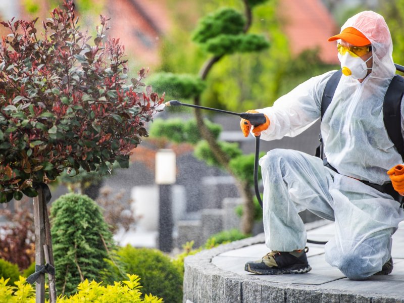 Saray Haşere İlaçlama